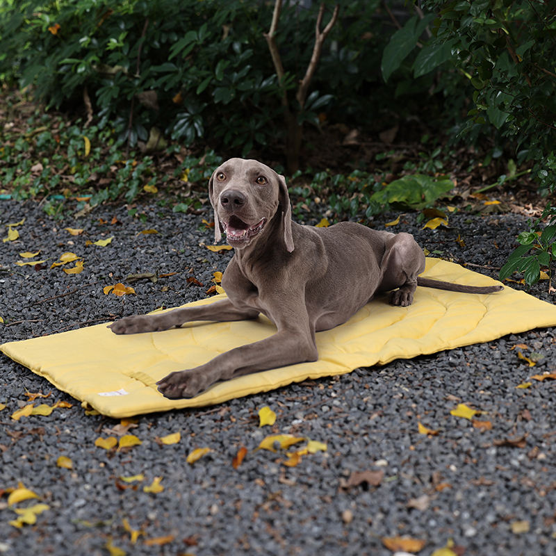 Portable Pet Mat Foldable Pet  - đánh giá và giá Outdoor Camping Rugs