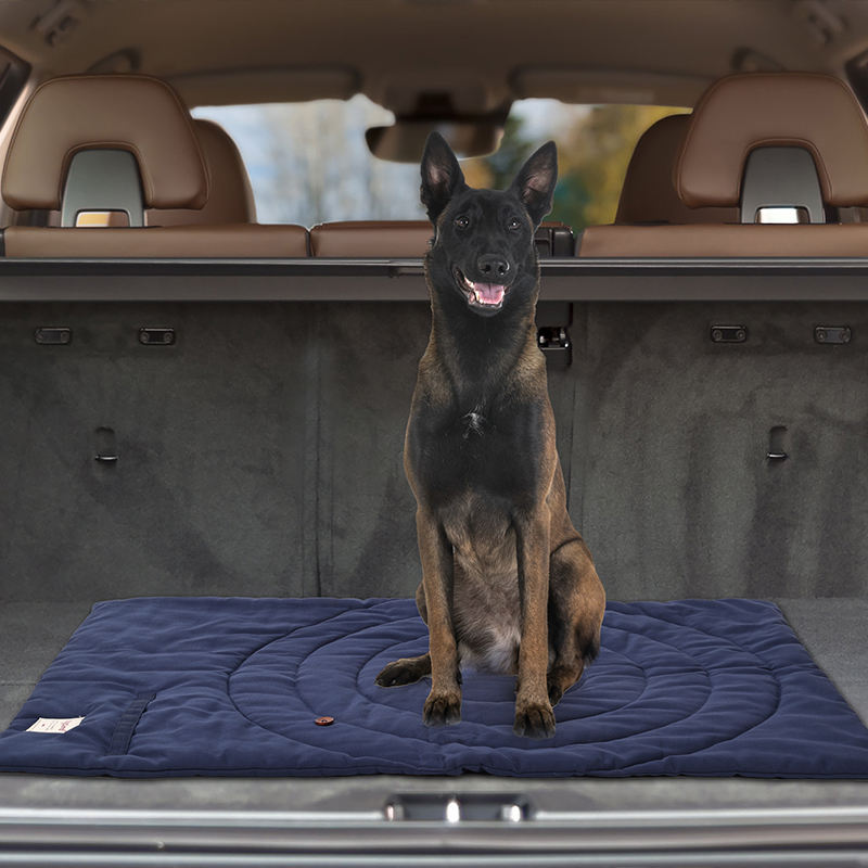 Portable Pet Mat Foldable Pet  - đánh giá và giá Outdoor Camping Rugs