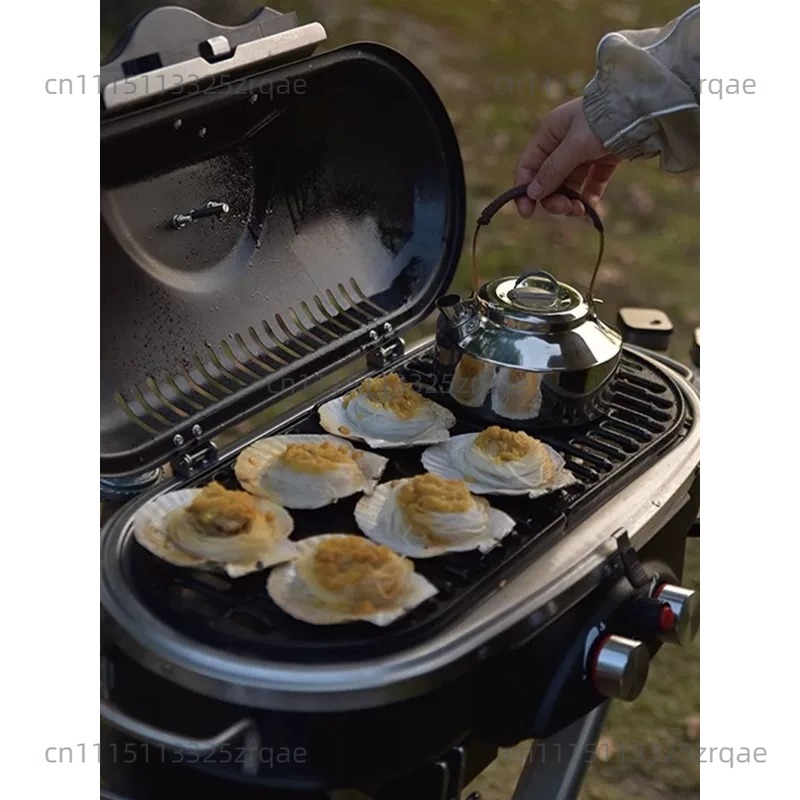 Outdoor Indoor Gas Cooking Sto - đánh giá và giá Outdoor Camping Griddle