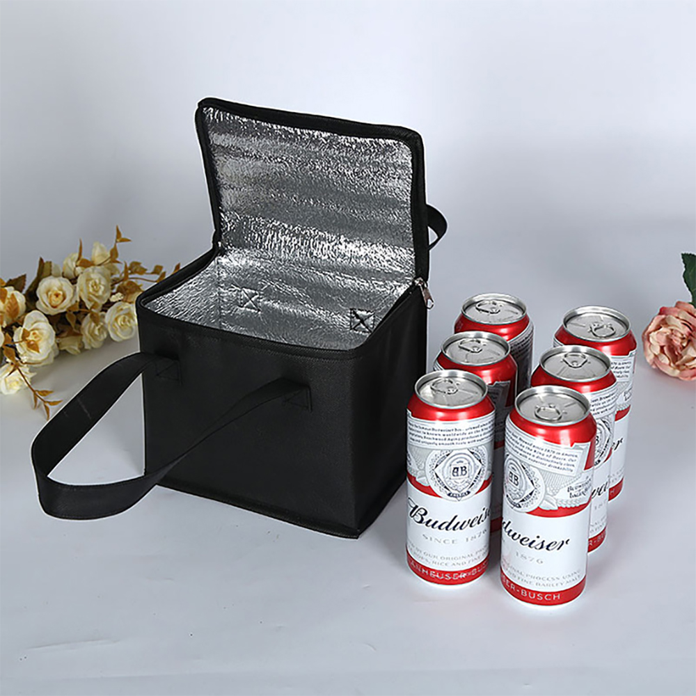 Portable Lunch Cooler Bag Insu - đánh giá và giá Outdoor Camping Meals